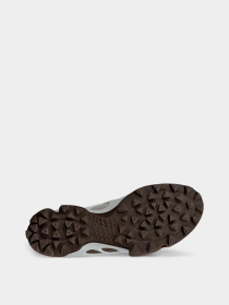 Кросівки ECCO BIOM C-TRAIL M модель 80347461419 Фото