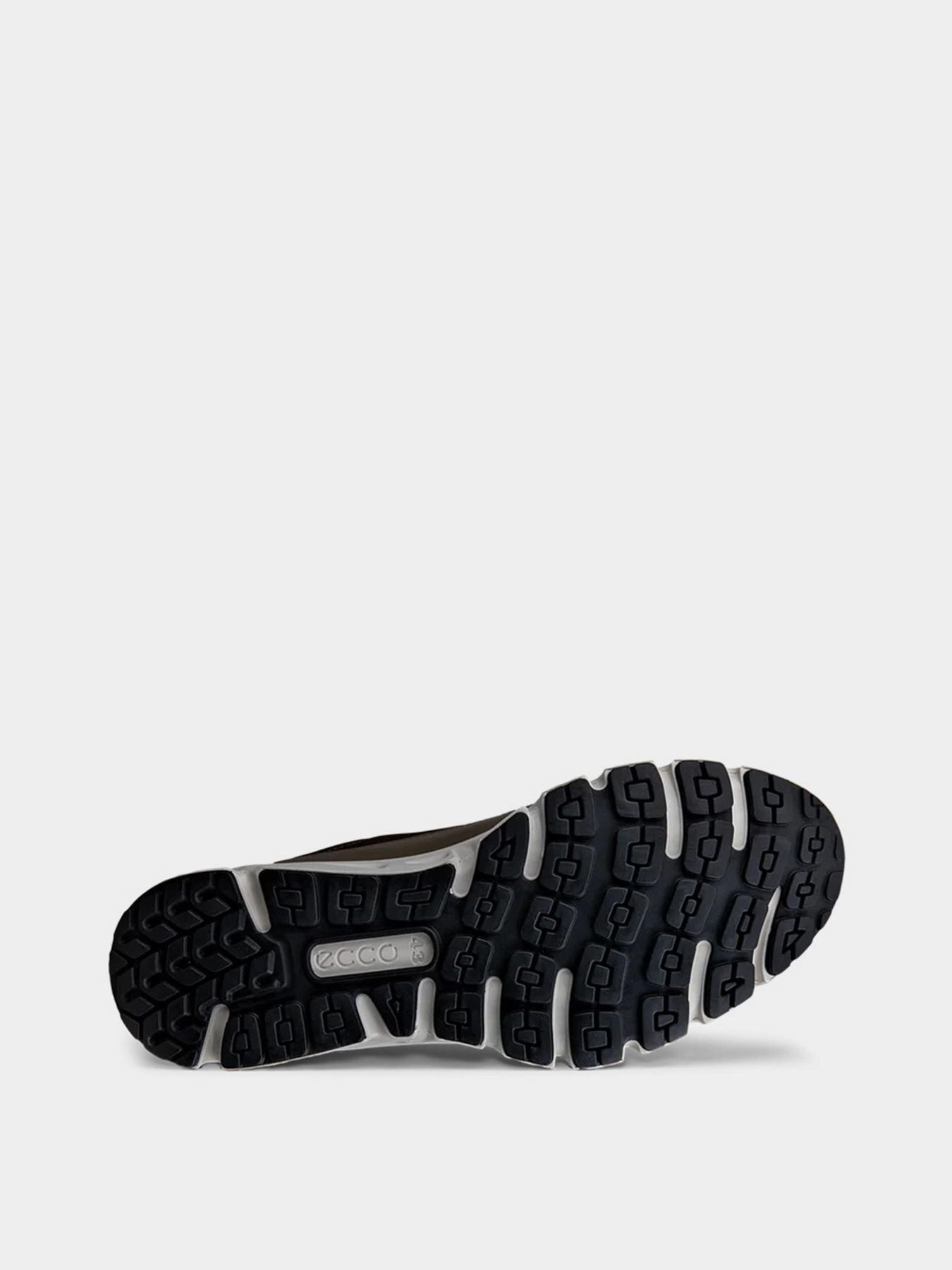 Кроссовки ECCO MULTI-VENT M модель 88028461340 Фото