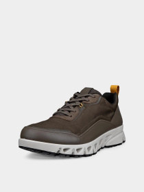Кроссовки ECCO MULTI-VENT M модель 88028461340 Фото