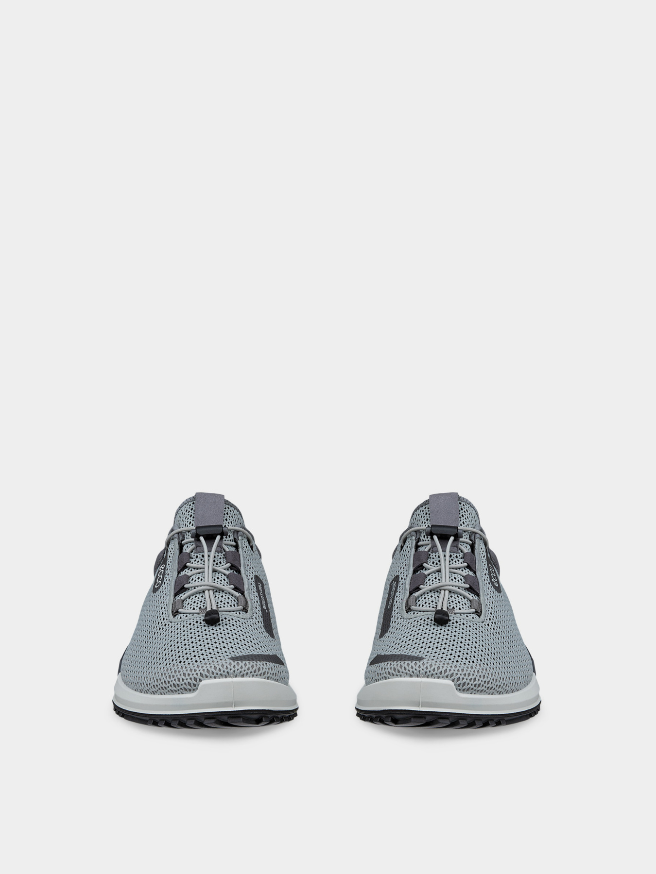 Кроссовки ECCO BIOM 2,0 M модель 80067461186 Фото