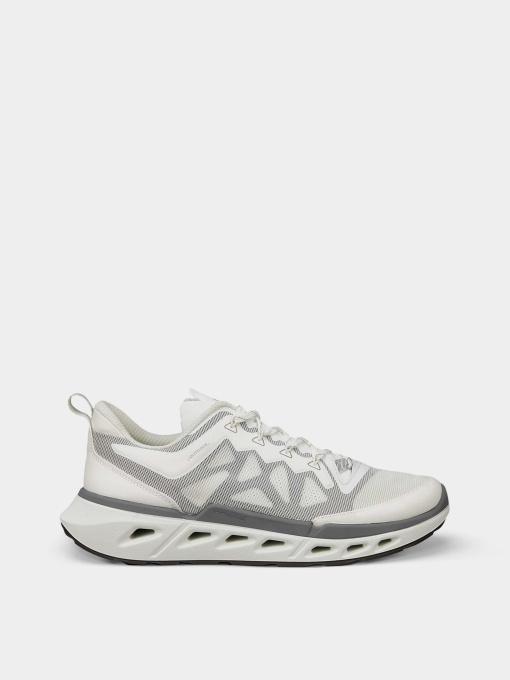 Кроссовки ECCO BIOM 720 M модель 85031461644 Фото
