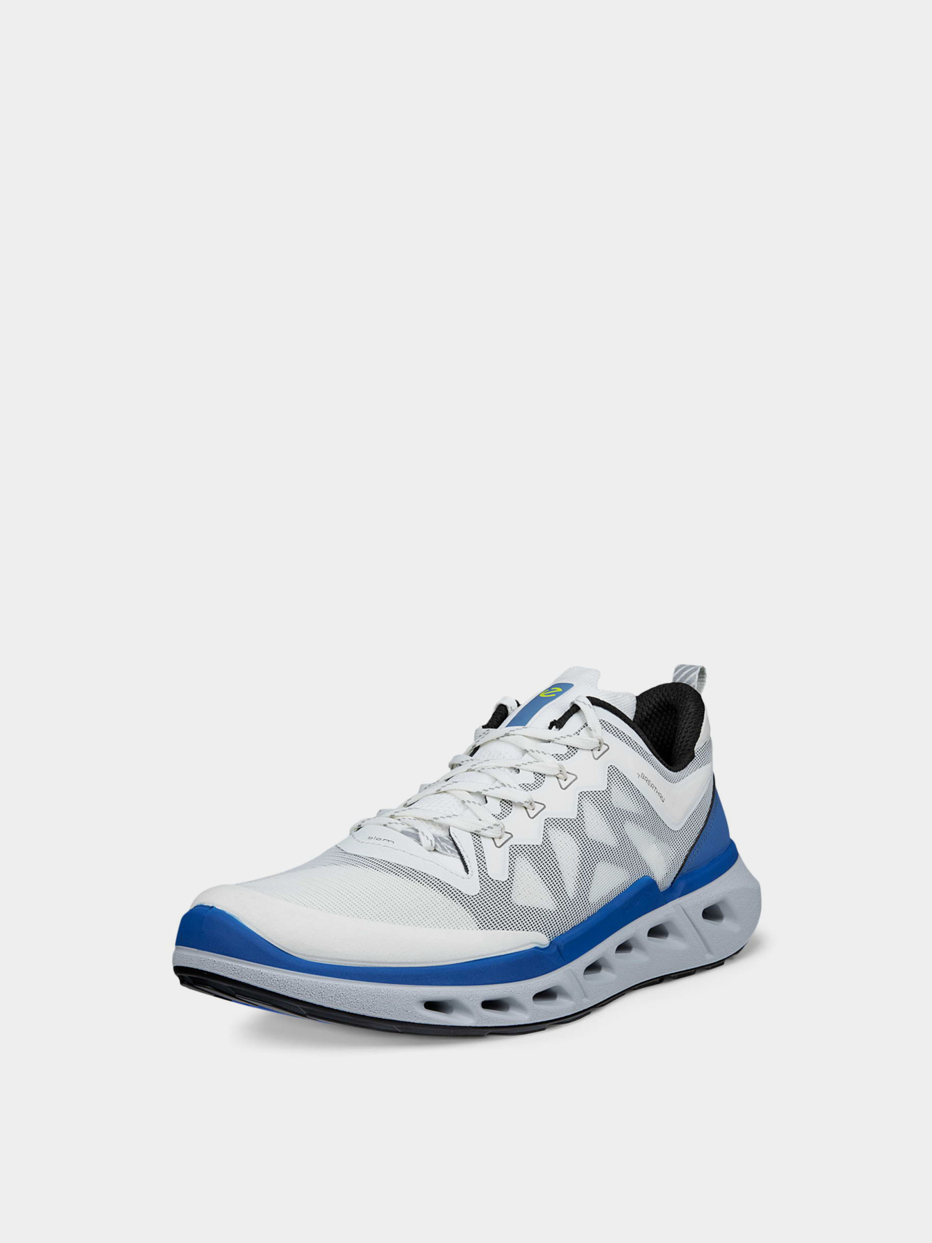 Кросівки ECCO BIOM 720 M модель 85031461647 Кросівки ECCO BIOM 720 M модель 85031461647 Фото