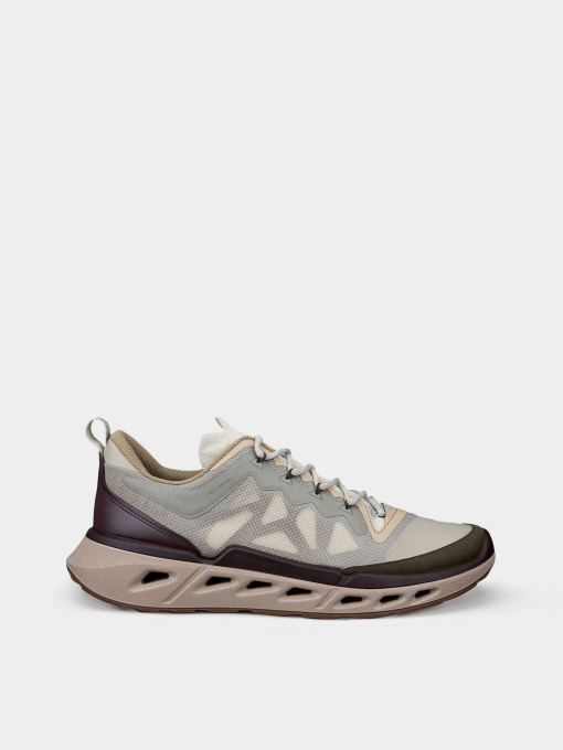 Кроссовки ECCO BIOM 720 M модель 85037461754 Фото