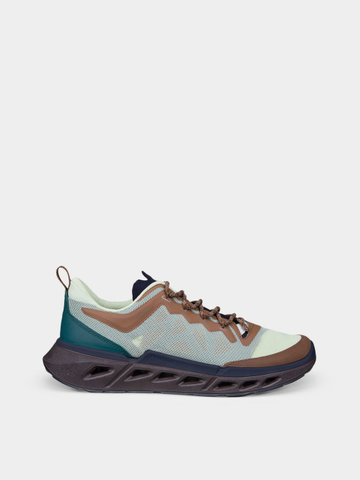 Кроссовки ECCO BIOM 720 M модель 85037461757 Фото