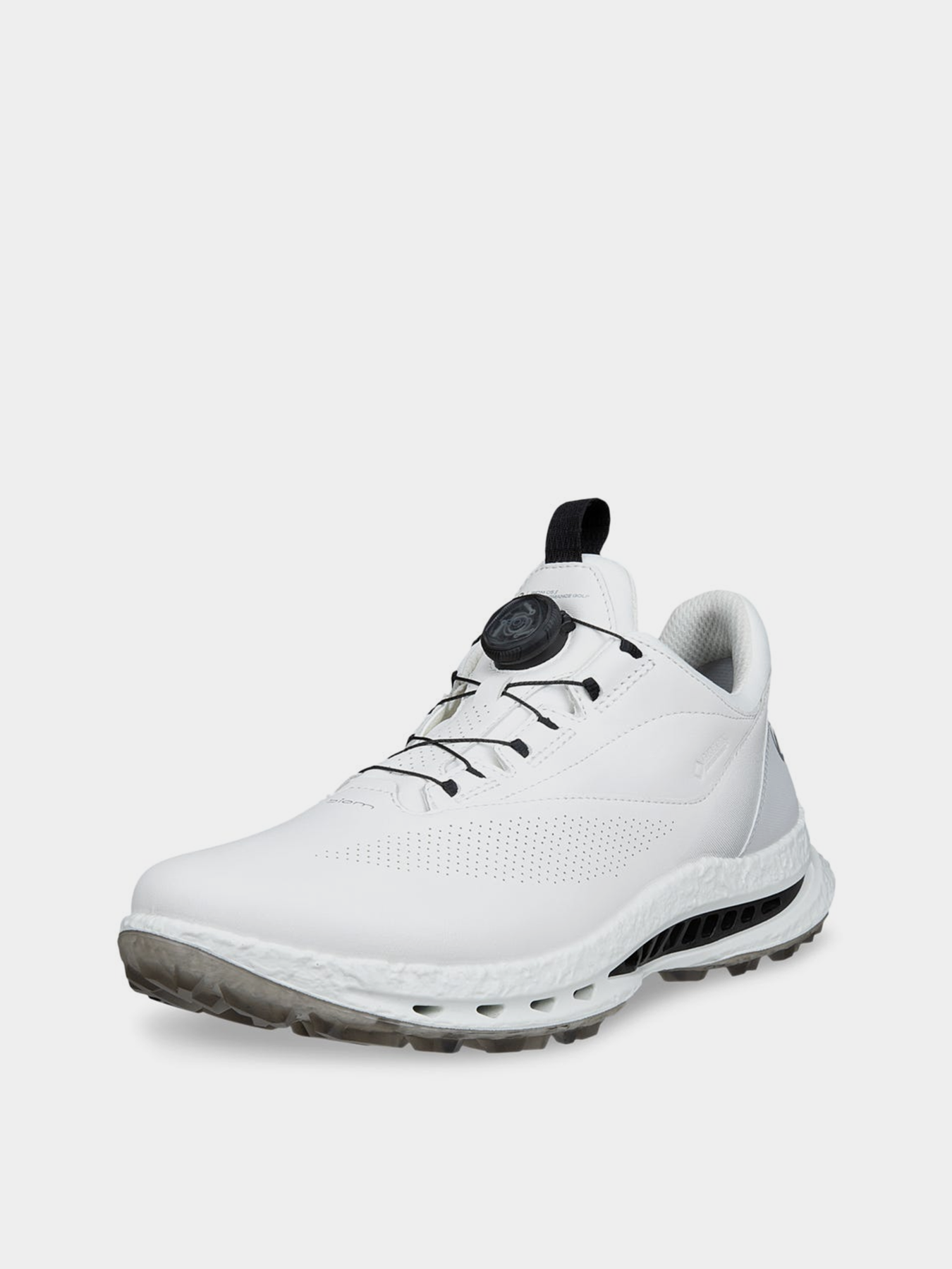 Кросівки ECCO M GOLF BIOM C5 модель 13261450874 Кросівки ECCO M GOLF BIOM C5 модель 13261450874 Фото
