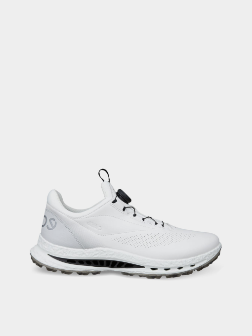 Кроссовки ECCO M GOLF BIOM C5 модель 13261450874 Фото