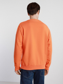 Худі та світшоти Napapijri Sweatshirt Box модель NP0A4F5AA1A1 Фото