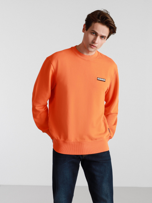 Худи и свитшоты Napapijri Sweatshirt Patch модель NP0A4FF7A1A1 Фото