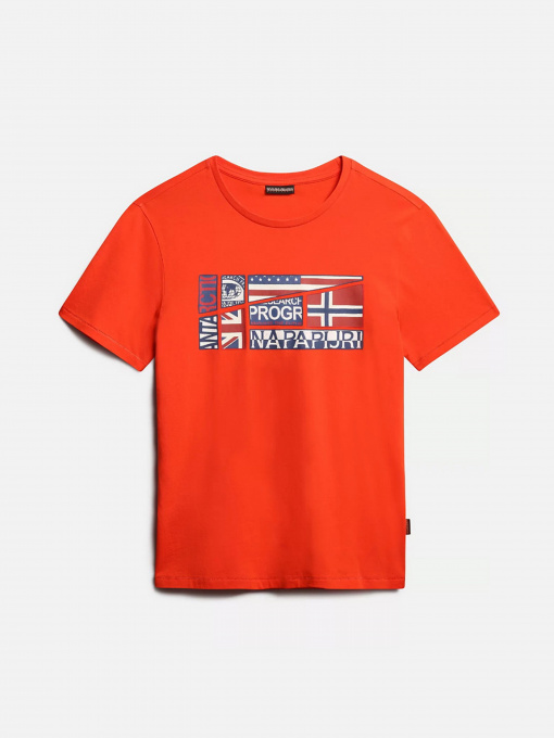 Футболки и поло Napapijri Turin модель NP0A4G34R1A1 Фото