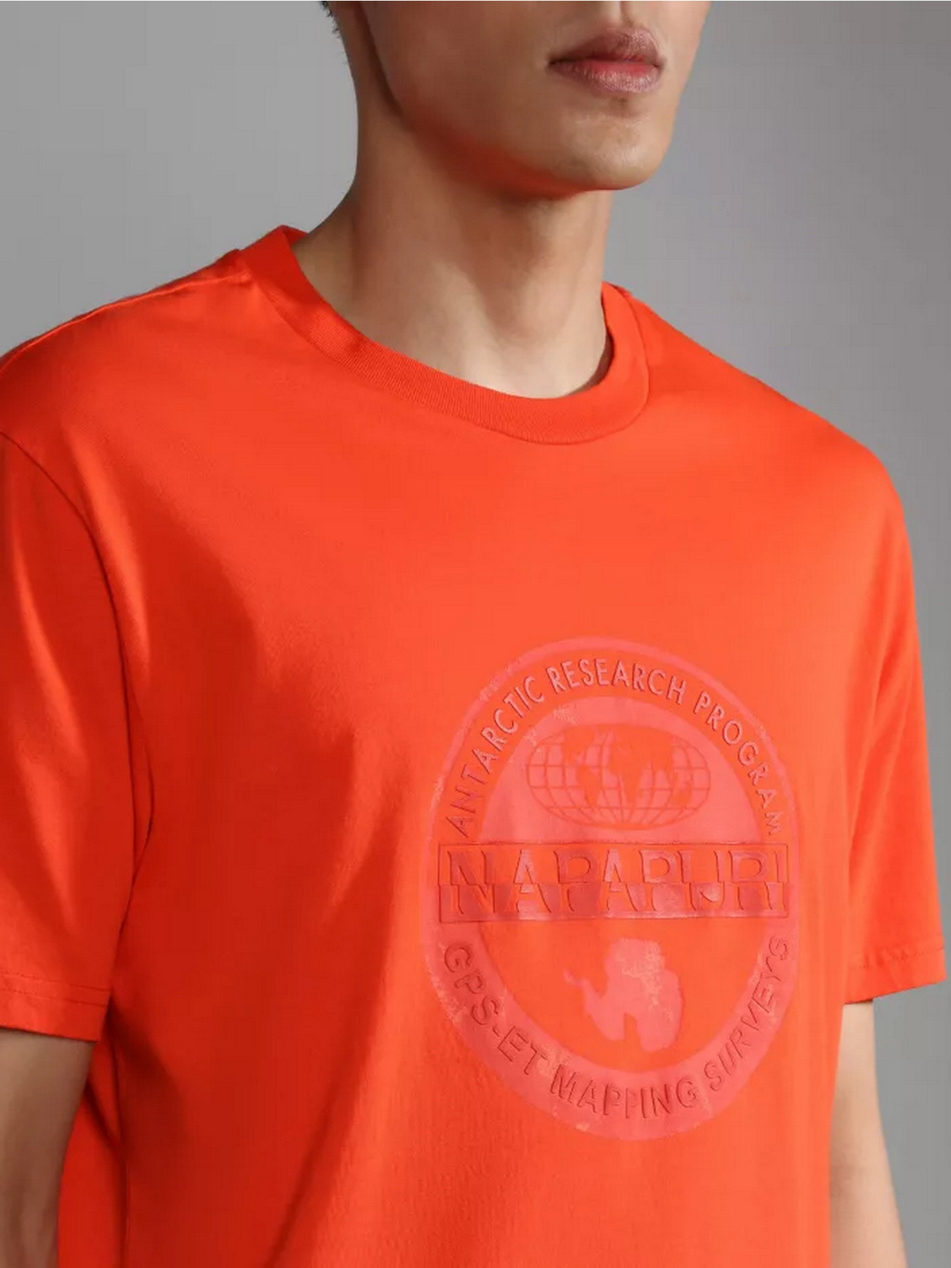 Футболки и поло Napapijri S-BOLLO SS 1 модель NP0A4H9KR051 Фото