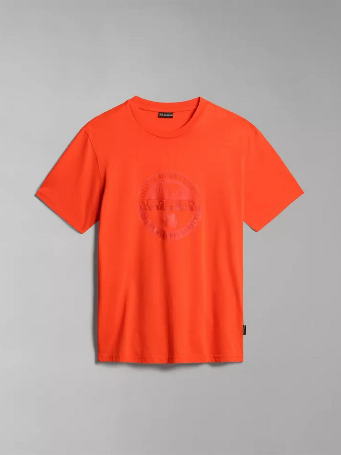 Футболки и поло Napapijri S-BOLLO SS 1 модель NP0A4H9KR051 Фото