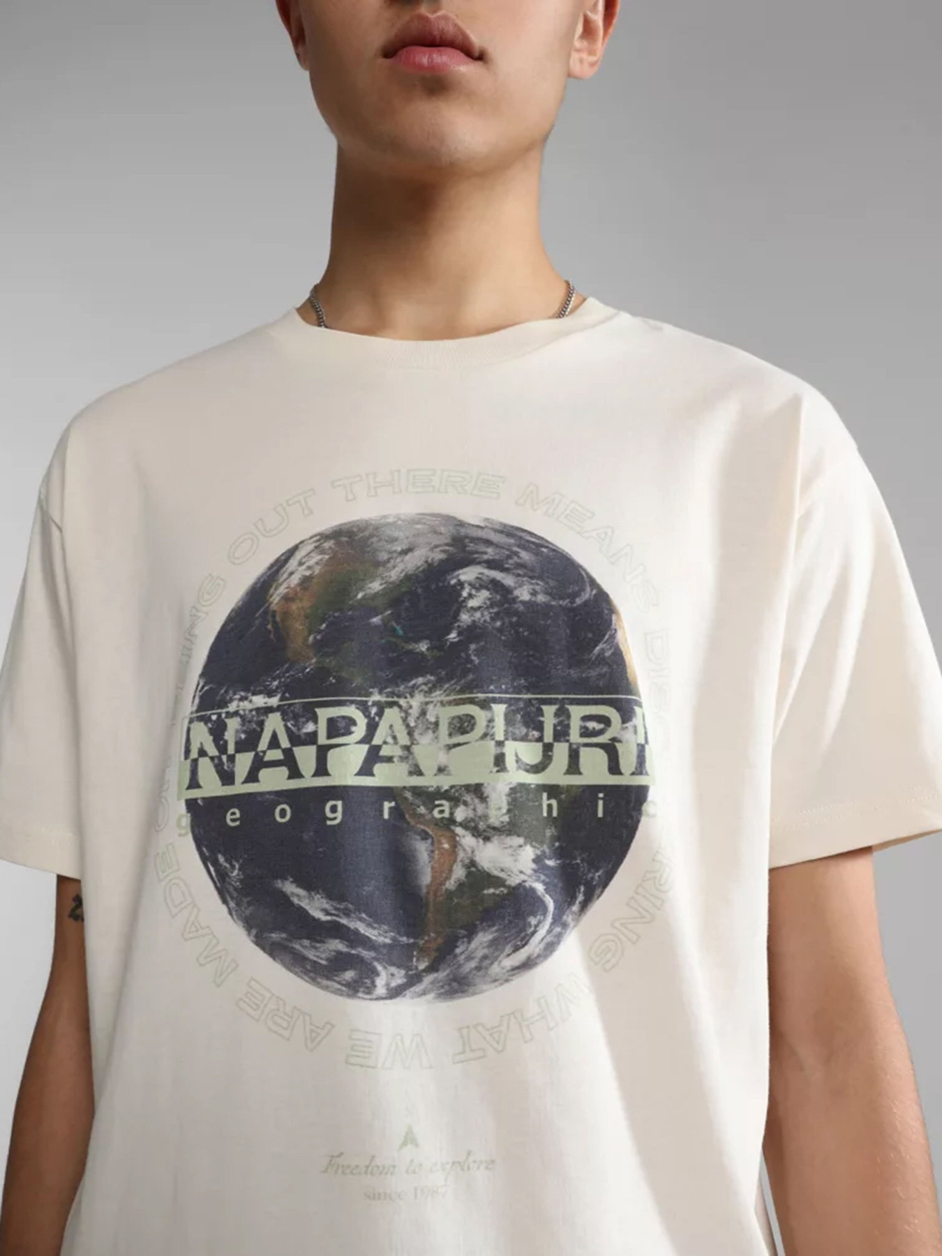 Футболки і поло Napapijri S-DAULE SS модель NP0A4H9PNS51 Футболки і поло Napapijri S-DAULE SS модель NP0A4H9PNS51 Фото