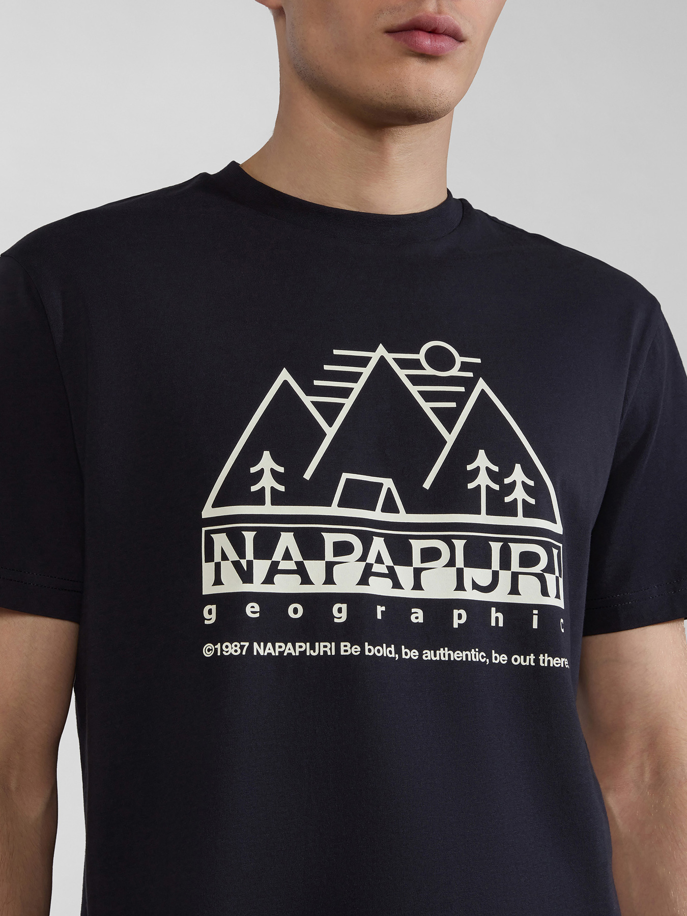 Футболки и поло Napapijri S-Faber модель NP0A4HQE0411 Футболки и поло Napapijri S-Faber модель NP0A4HQE0411 Фото