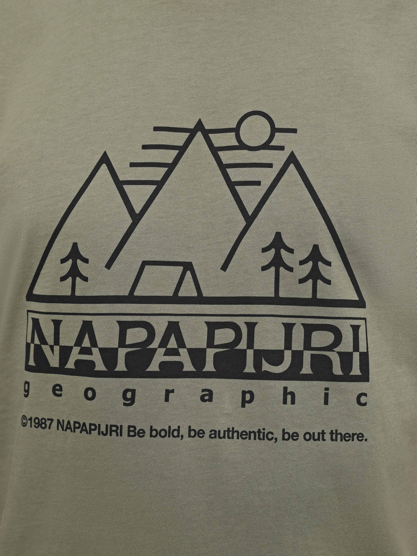 Футболки и поло Napapijri S-Faber модель NP0A4HQEGAE1 Футболки и поло Napapijri S-Faber модель NP0A4HQEGAE1 Фото