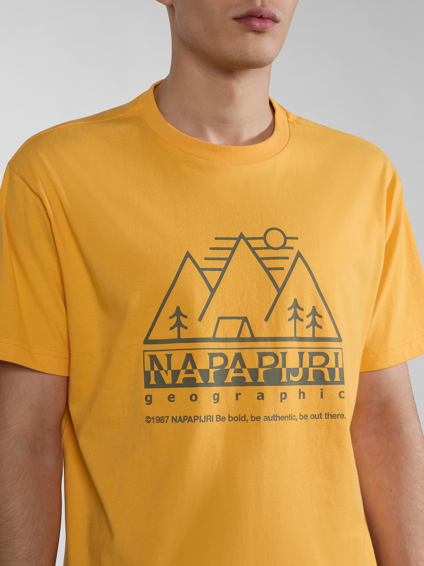 Футболки і поло Napapijri S-Faber модель NP0A4HQEY1J1 Футболки і поло Napapijri S-Faber модель NP0A4HQEY1J1 Фото