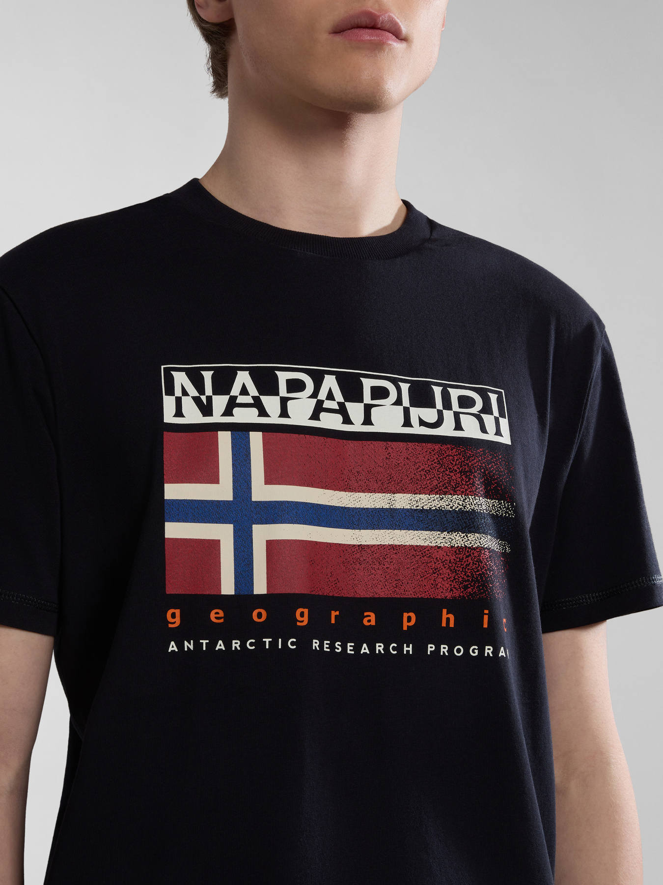 Футболки і поло Napapijri S-Kreis модель NP0A4HQR0411 Фото