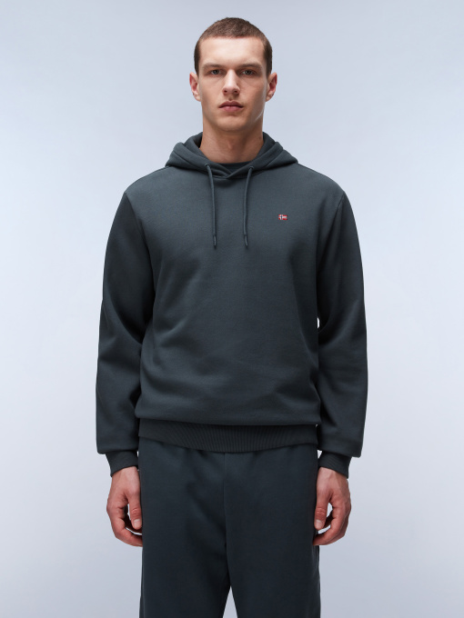 Худи и свитшоты Napapijri Balis Hood модель NP0A4FQVG1S1 Фото