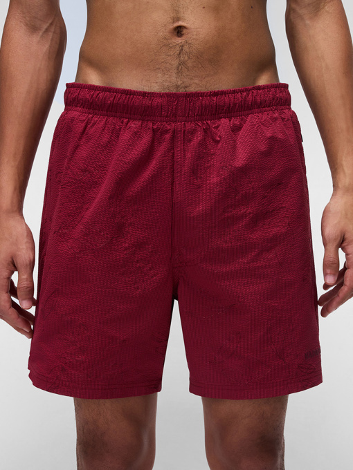Одяг для пляжу Napapijri Brolio Swimming модель NP0A4IBMFCR1 Фото