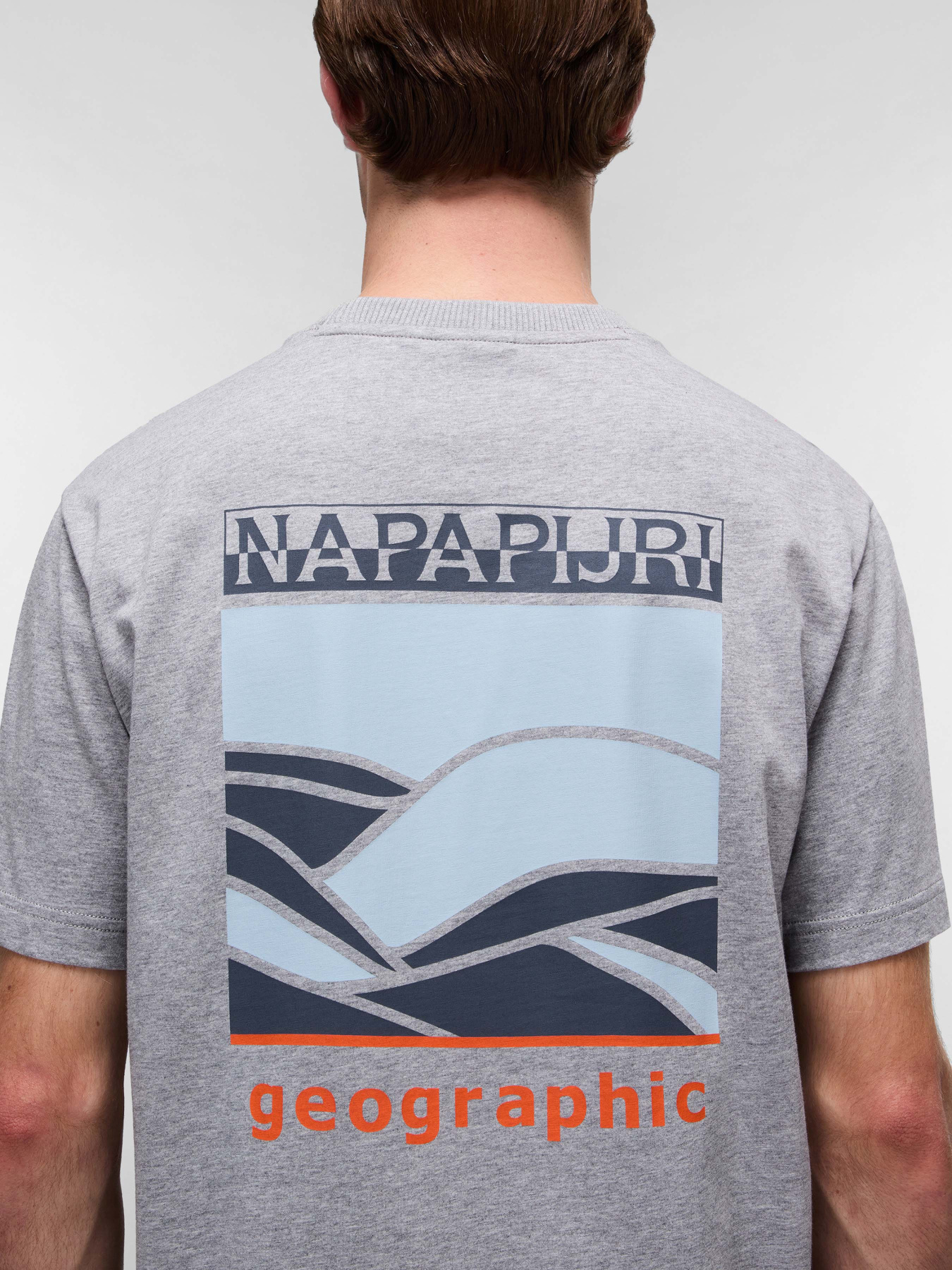 Футболки і поло Napapijri Sovana модель NP0A4IE41601 Футболки і поло Napapijri Sovana модель NP0A4IE41601 Фото