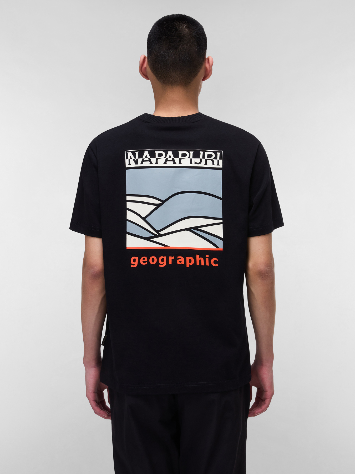 Футболки і поло Napapijri Sovana модель NP0A4IE49411 Футболки і поло Napapijri Sovana модель NP0A4IE49411 Фото