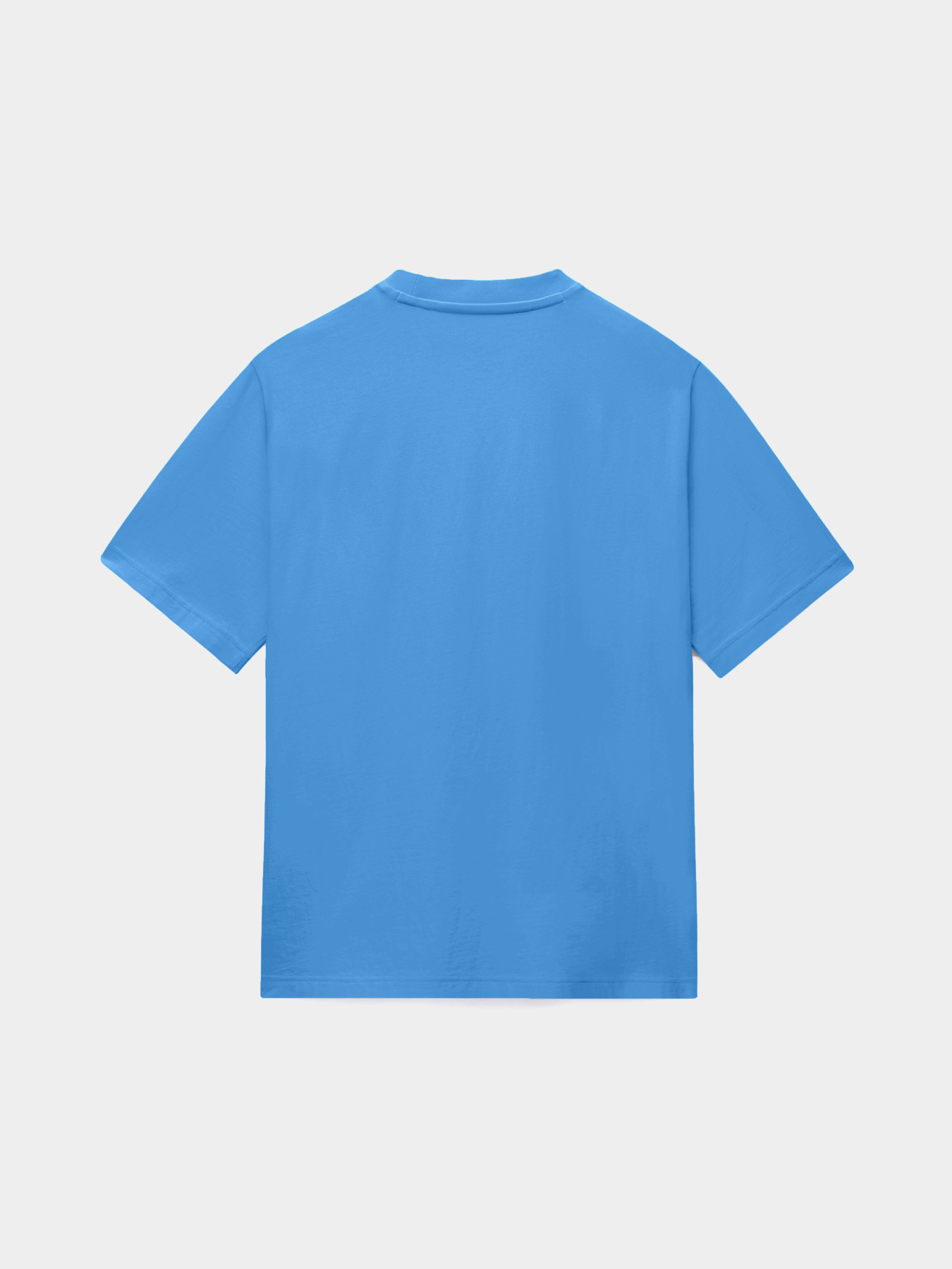 Футболки і поло Napapijri S-BOX LOGO SS модель NP0A4IFLB9A1 Фото