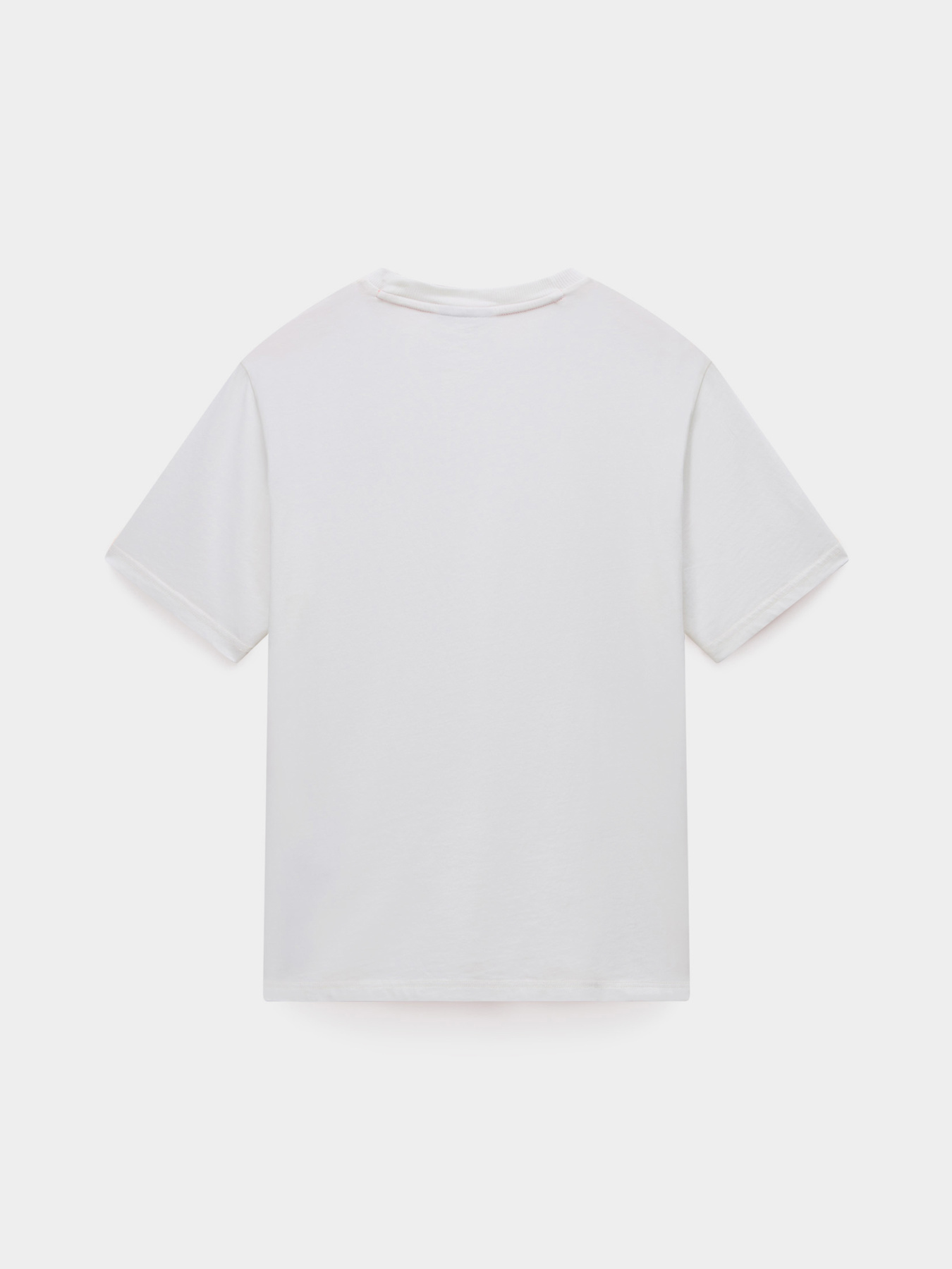 Футболки і поло Napapijri S-NEDLES модель NP0A893E2061 Футболки і поло Napapijri S-NEDLES модель NP0A893E2061 Фото