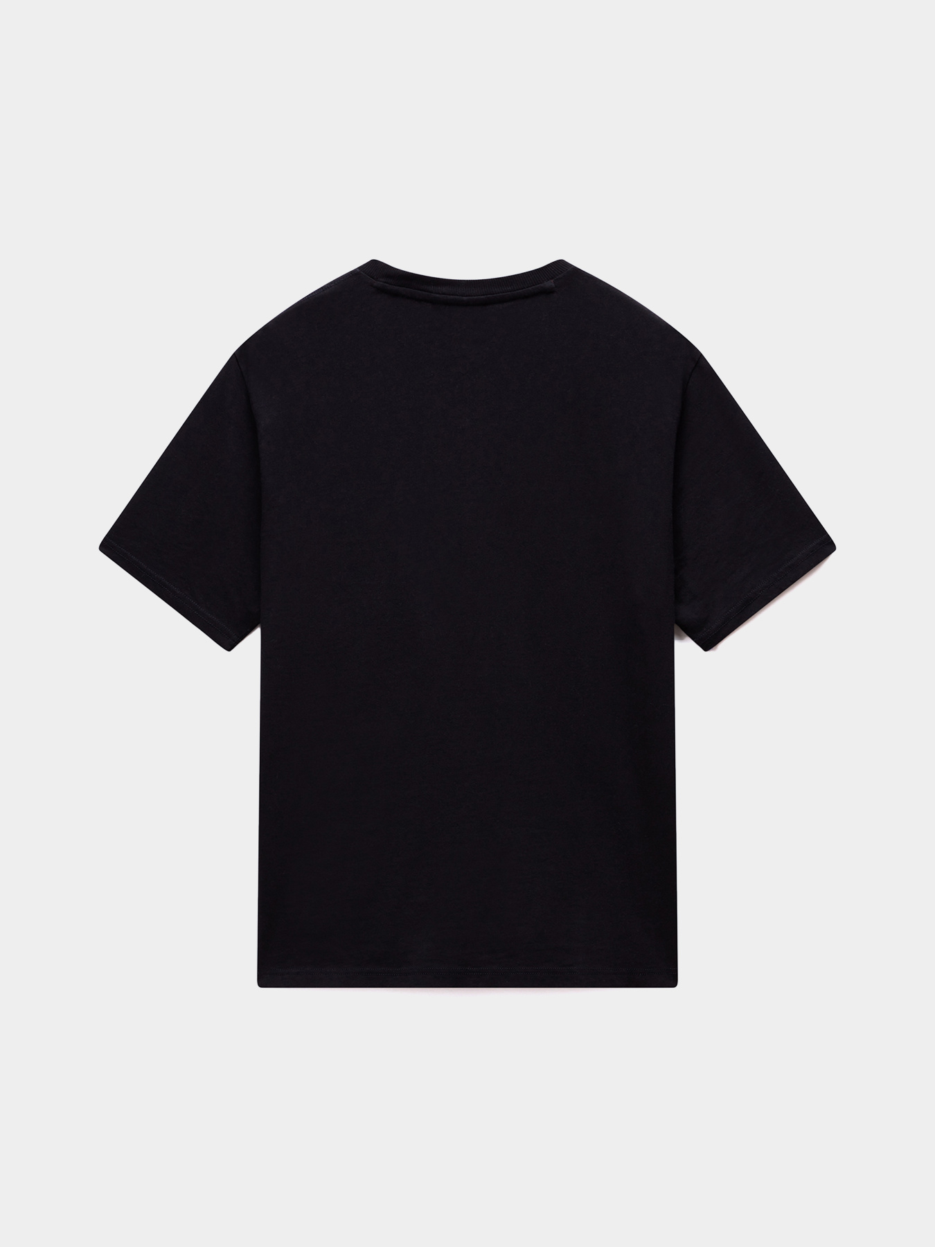 Футболки и поло Napapijri S-NEDLES модель NP0A893E9411 Футболки и поло Napapijri S-NEDLES модель NP0A893E9411 Фото