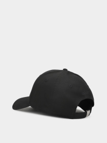 Шапки та кепки ECCO CLASSIC BASEBALL модель 909800900101 Фото