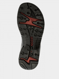 Сандалії ECCO OFFROAD модель 06956350034 Фото