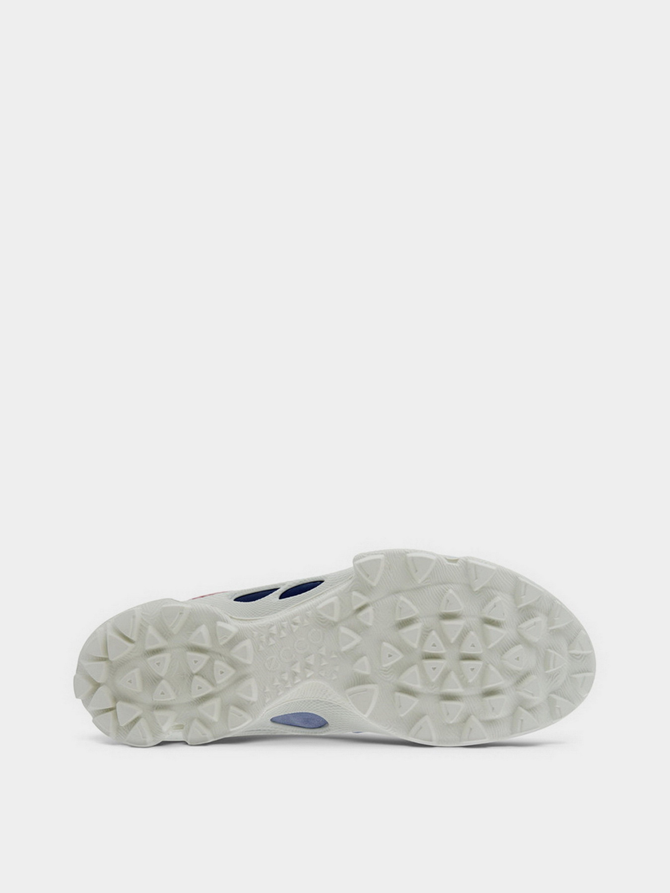 Кросівки ECCO Biom C-Trail модель 80318360256 Фото