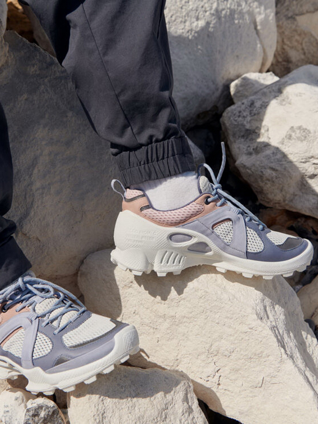 Кросівки ECCO Biom C-Trail модель 80318360256 Фото