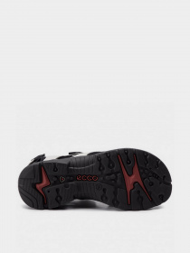 Сандалии ECCO OFFROAD модель 82204302152 Фото