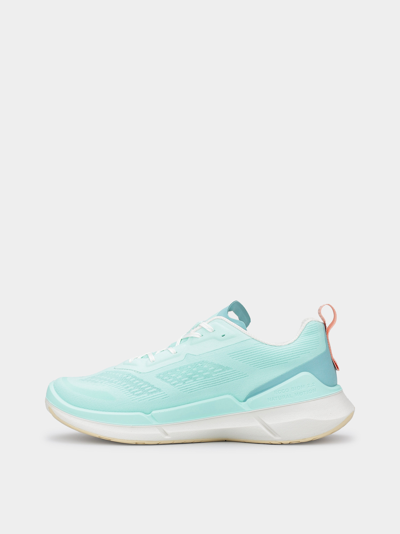 Кроссовки ECCO BIOM 2.2 W модель 83075361117 Фото