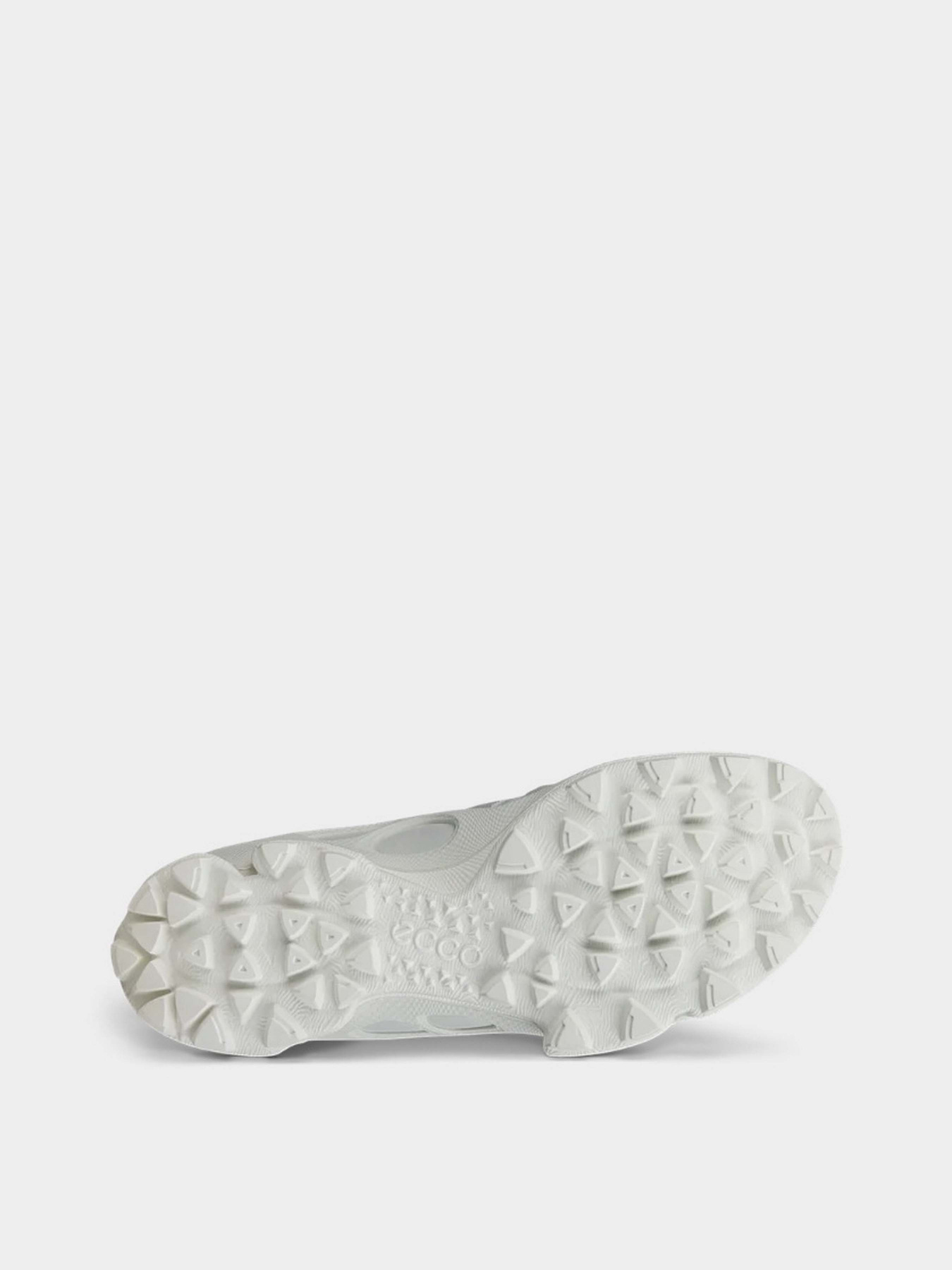 Кроссовки ECCO BIOM C-TRAIL M модель 80325460955 Фото