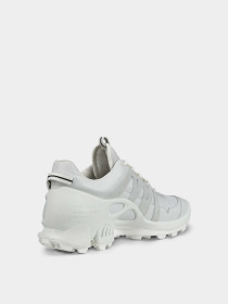 Кроссовки ECCO BIOM C-TRAIL M модель 80325460955 Фото