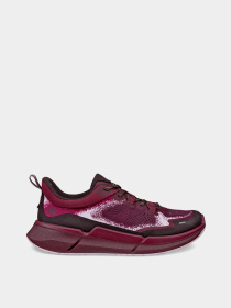 Кроссовки ECCO BIOM 2.2 W модель 83091361380 Фото