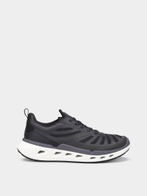 Кросівки ECCO BIOM 720 W модель 85033360266 Фото