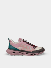 Кросівки ECCO BIOM 720 W модель 85037361758 Фото