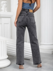 Джинси ISSA Plus модель WN20-242_grey Фото