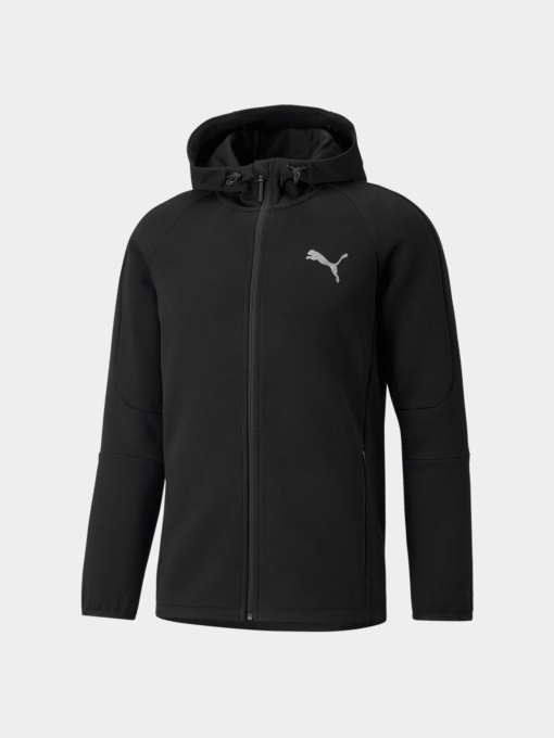 Худи и свитшоты PUMA Evostripe Fz Hoodie модель 589424 Фото