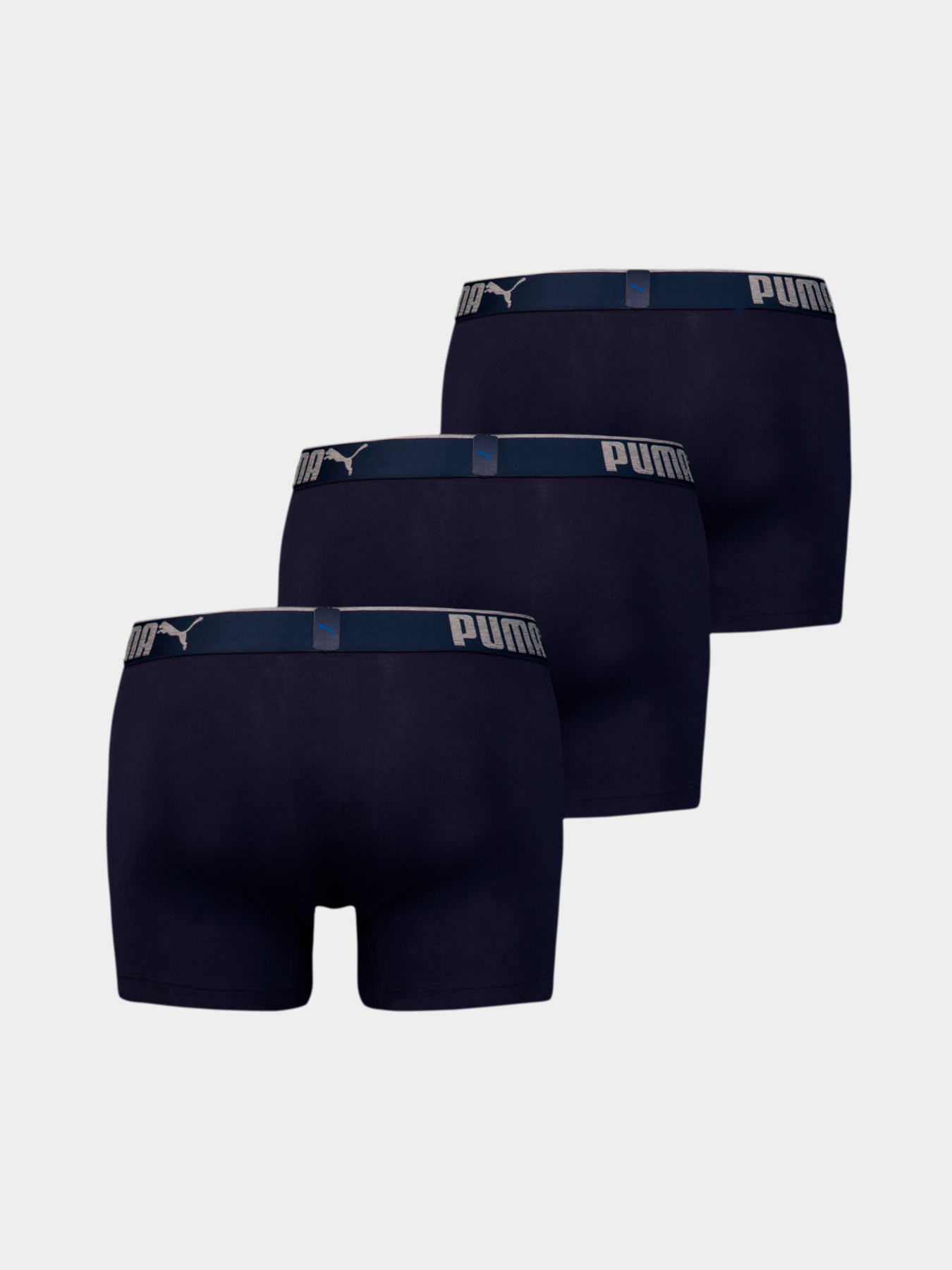 Нижнее белье PUMA Premium Sueded Cotton B модель 935032 Нижнее белье PUMA Premium Sueded Cotton B модель 935032 Фото