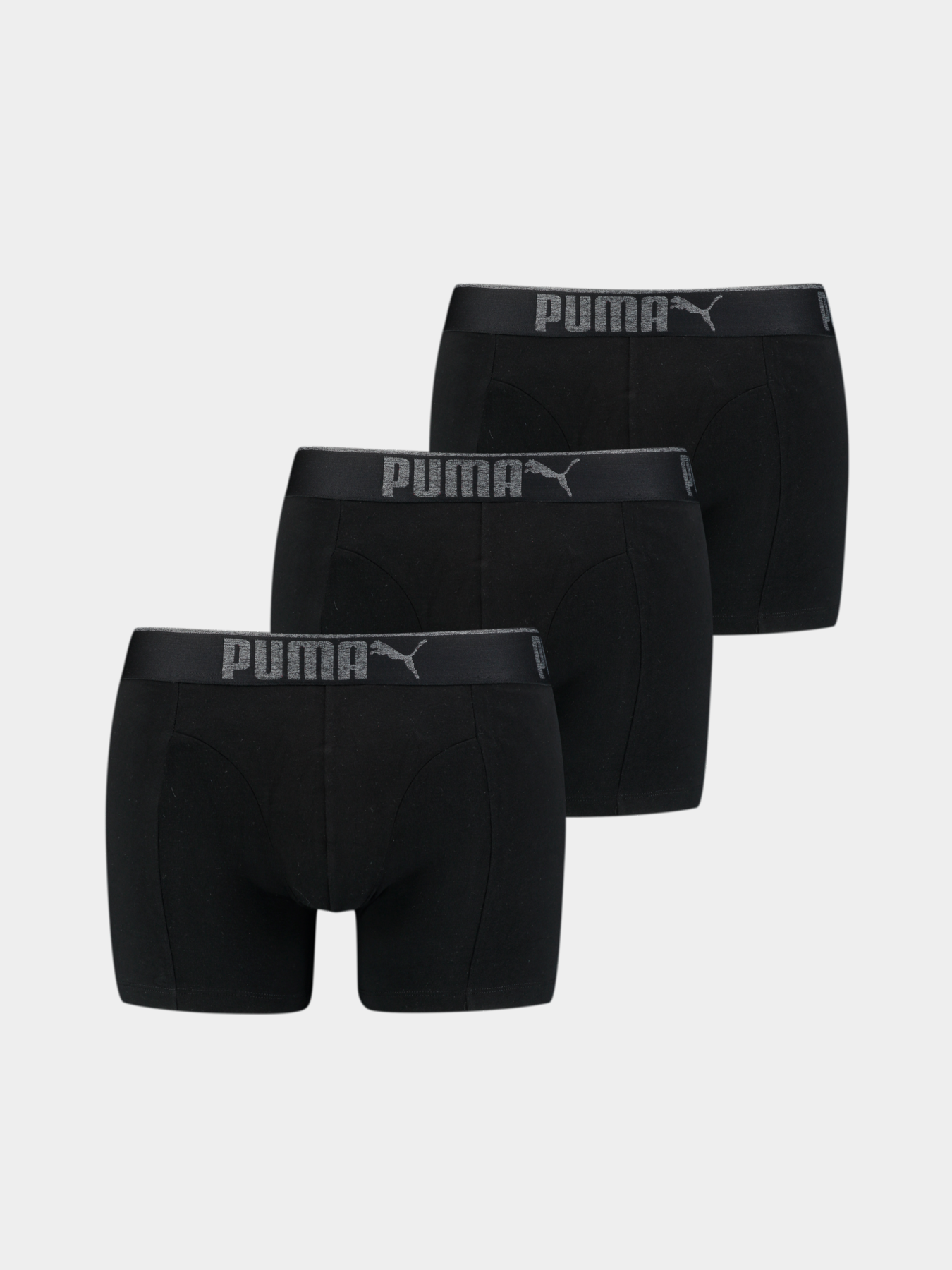 Нижнее белье PUMA Premium Sueded Cotton B модель 935032 Нижнее белье PUMA Premium Sueded Cotton B модель 935032 Фото