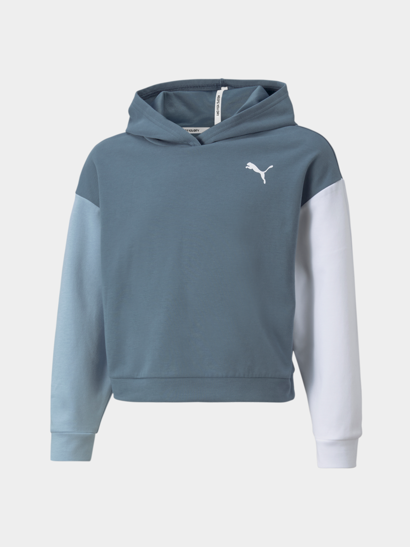 Худи и свитшоты PUMA Modern Sports Hoodie модель 589214 Худи и свитшоты PUMA Modern Sports Hoodie модель 589214 Фото