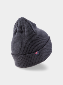 Шапки та кепки PUMA Neymar Jr Bronx Beanie модель 023914 Фото
