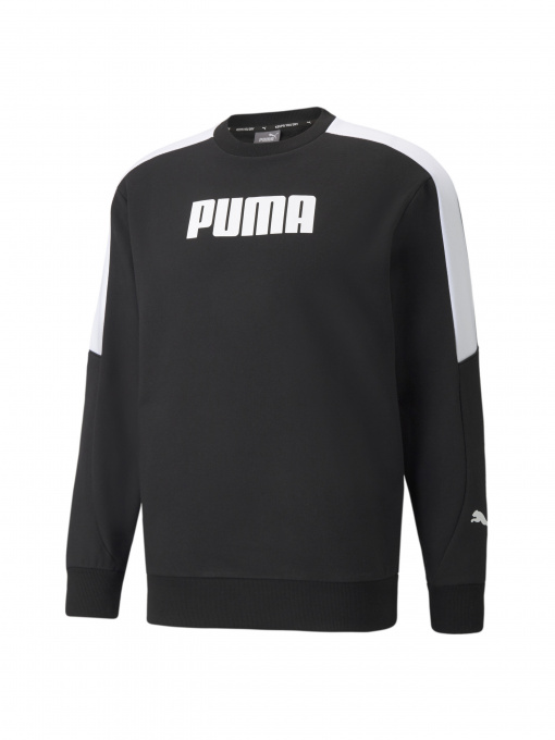 Худи и свитшоты PUMA модель 589473 Фото