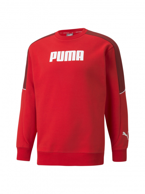 Худи и свитшоты PUMA модель 589473 Фото