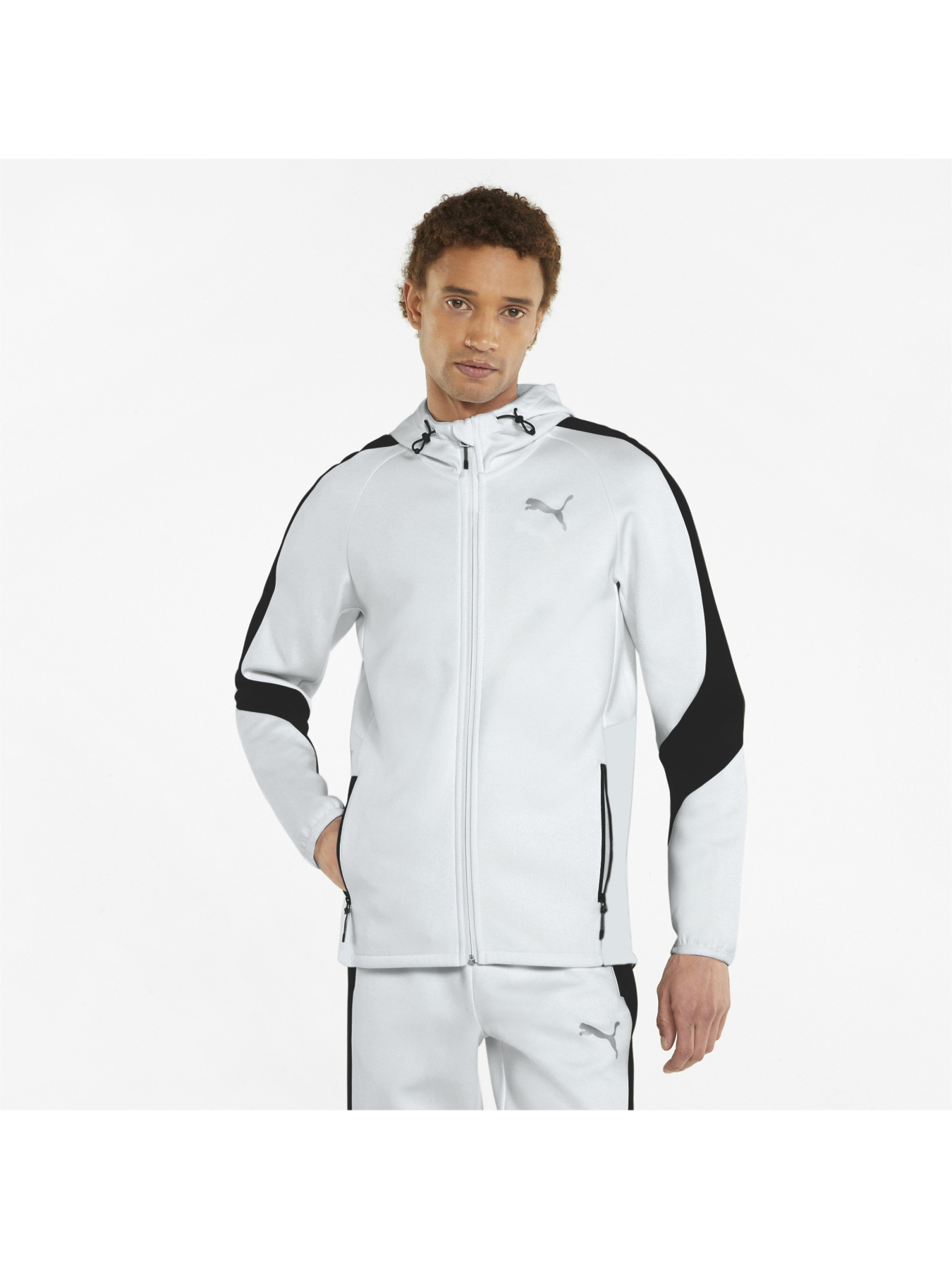 Куртки и дубленки PUMA Evostripe Full-zip Hoodie модель 847401 Фото