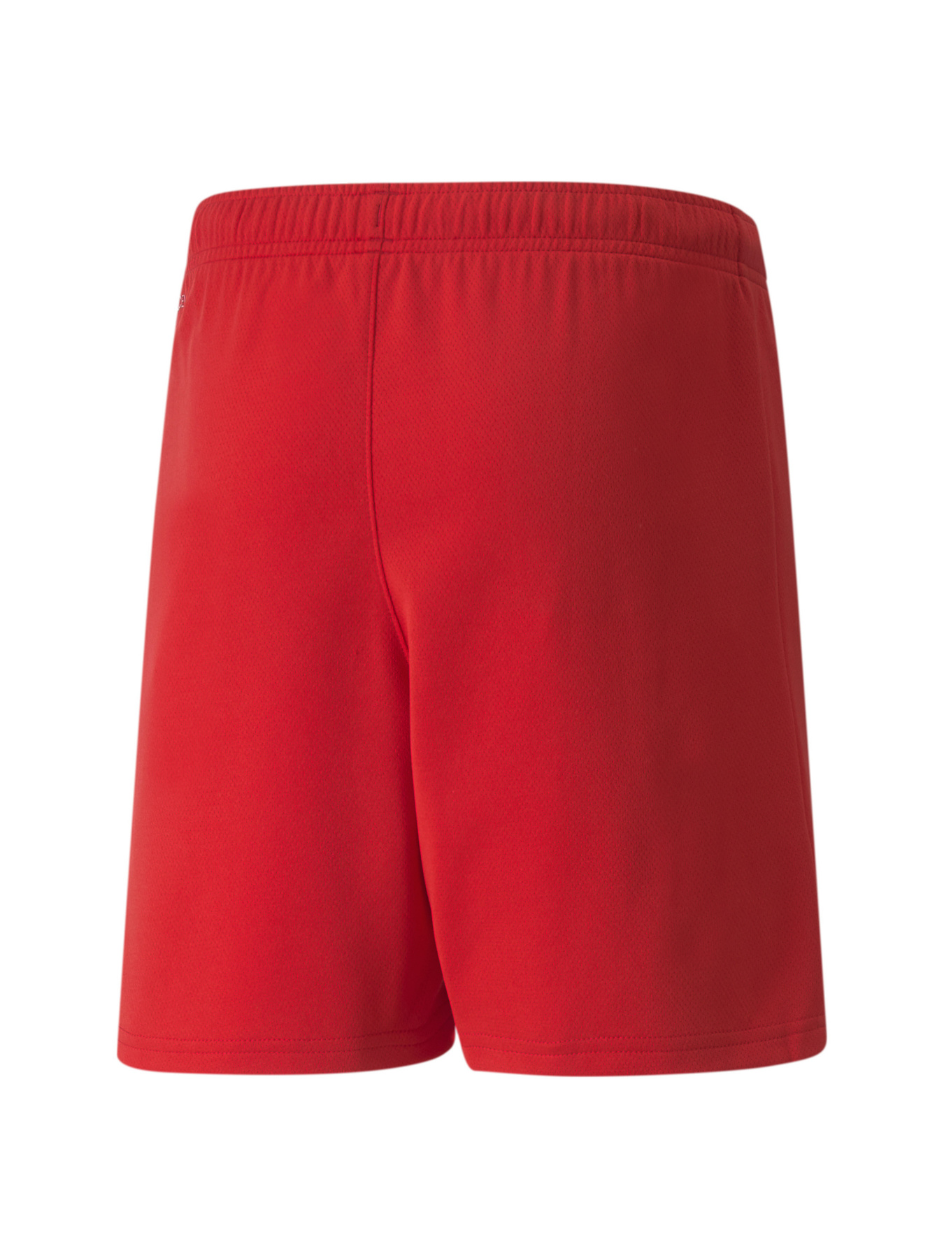 Шорты PUMA Teamrise Short Jr модель 704943 Фото