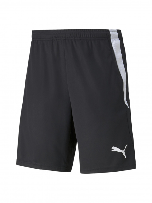 Шорты PUMA Teamliga Training Shorts 2 модель 657667 Фото