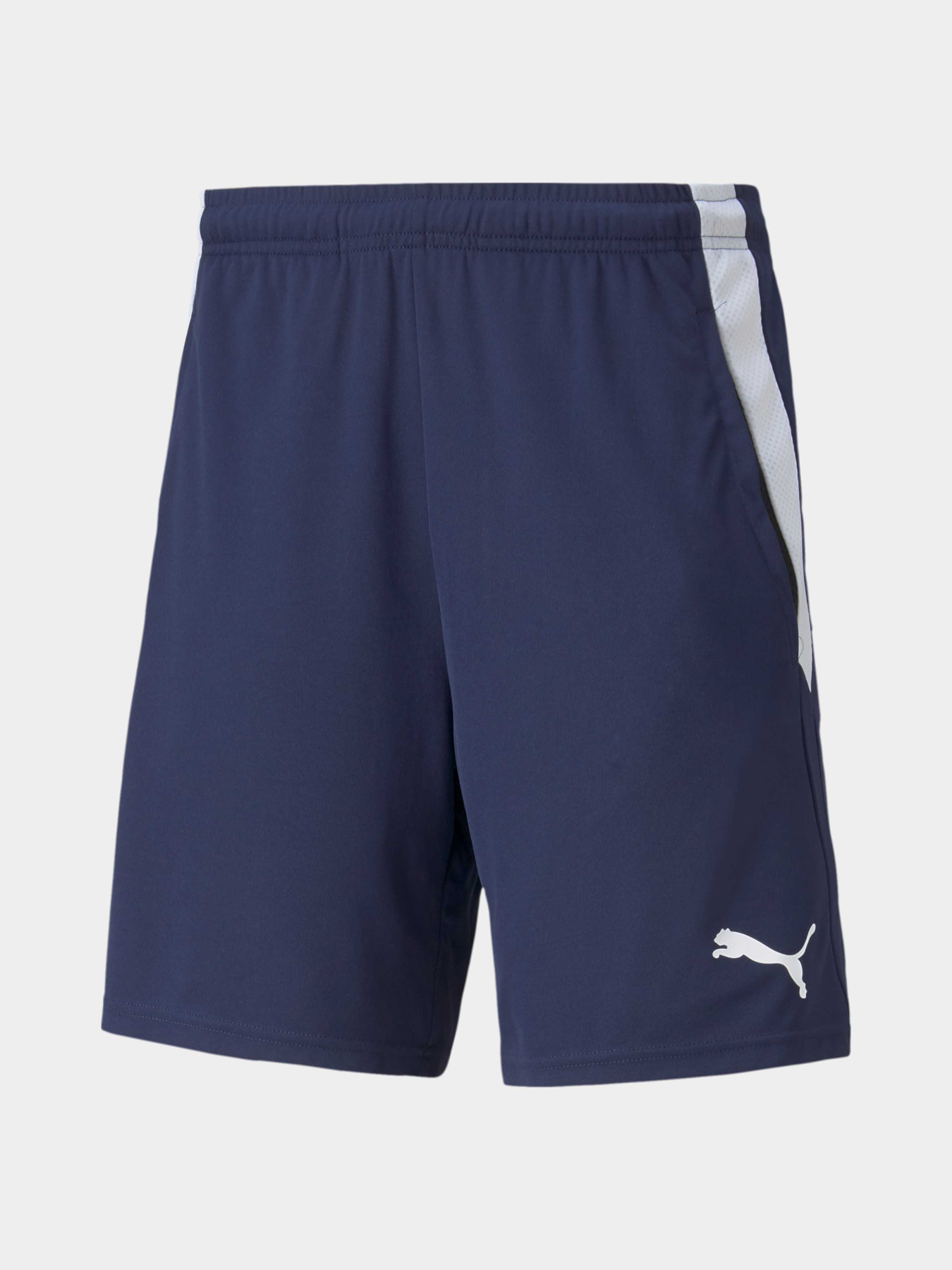 Шорты PUMA Teamliga Training Shorts 2 модель 657667 Шорты PUMA Teamliga Training Shorts 2 модель 657667 Фото